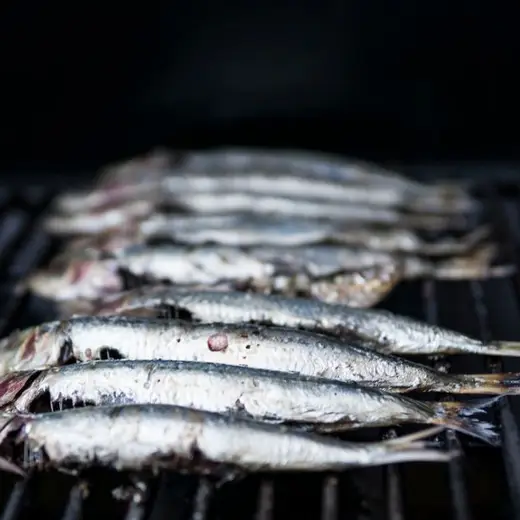 Sardines et maquereaux frais alignés sur un plan de travail